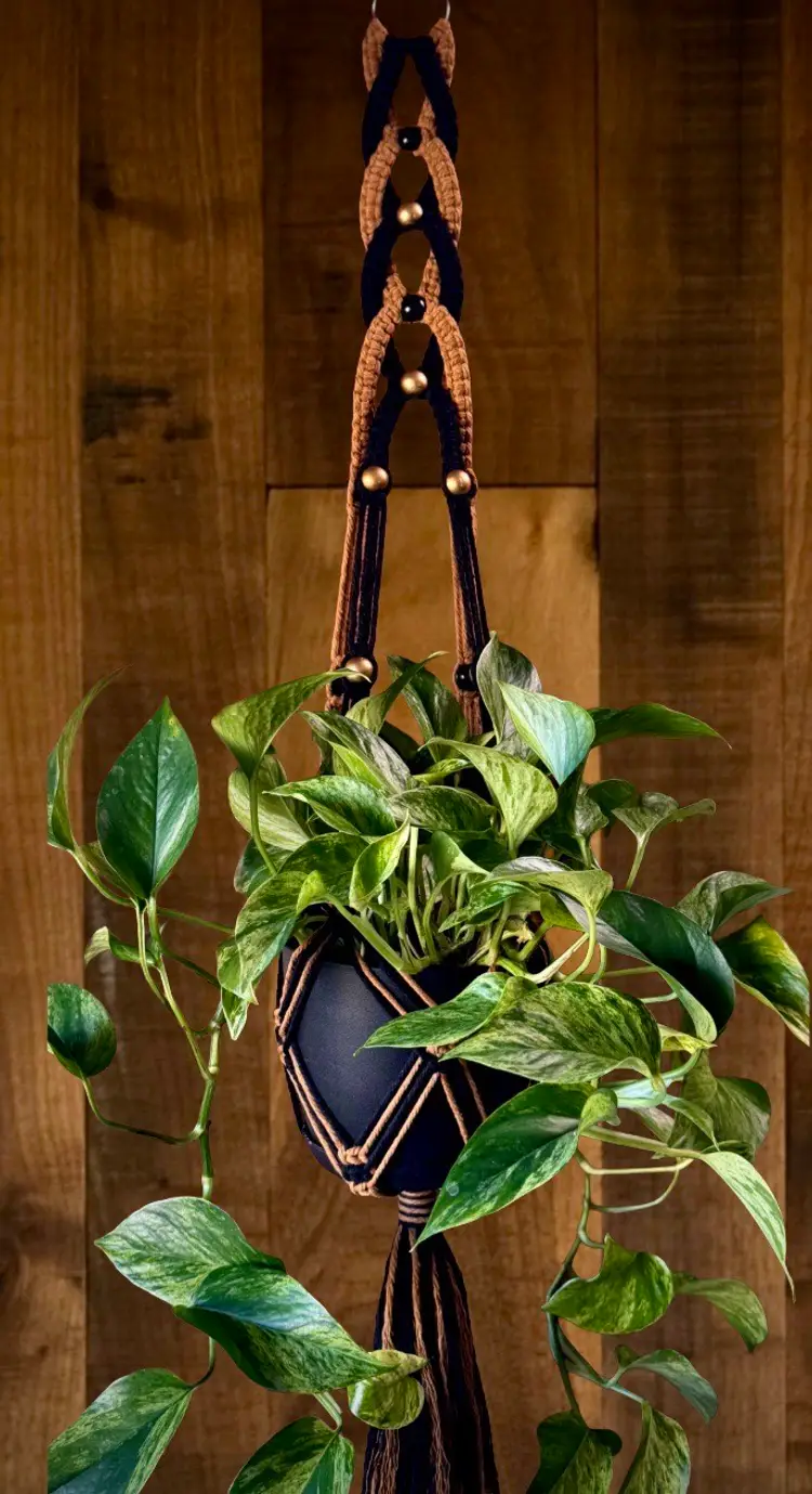 Handmade Macrame Plant Hanger