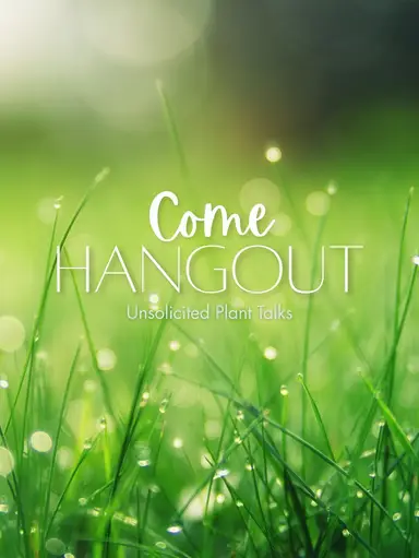 Come Hangout With Me Tonight!