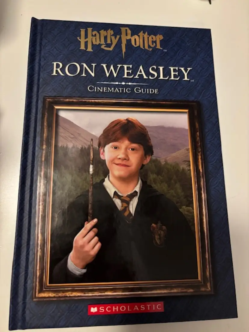 Set of 4: Harry Potter Cinematic Guide for Chracters