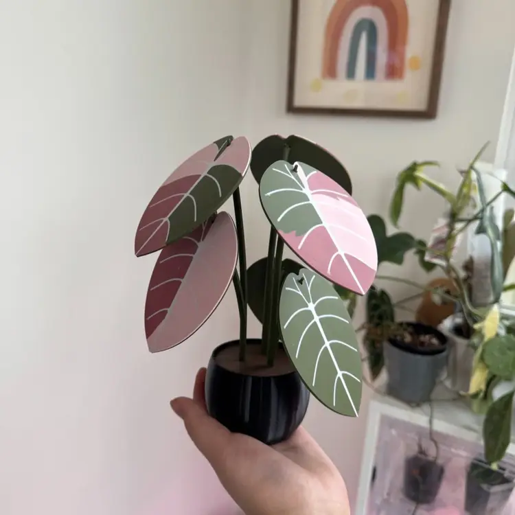 Alocasia cuprea coaster set