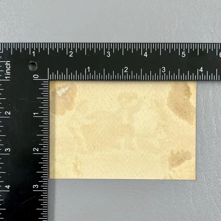 Victorian Trade Card Cambridge MA 9 Prospect St McGregor Confectionary Ice Cream 4x2.25" Children Acorn Nut