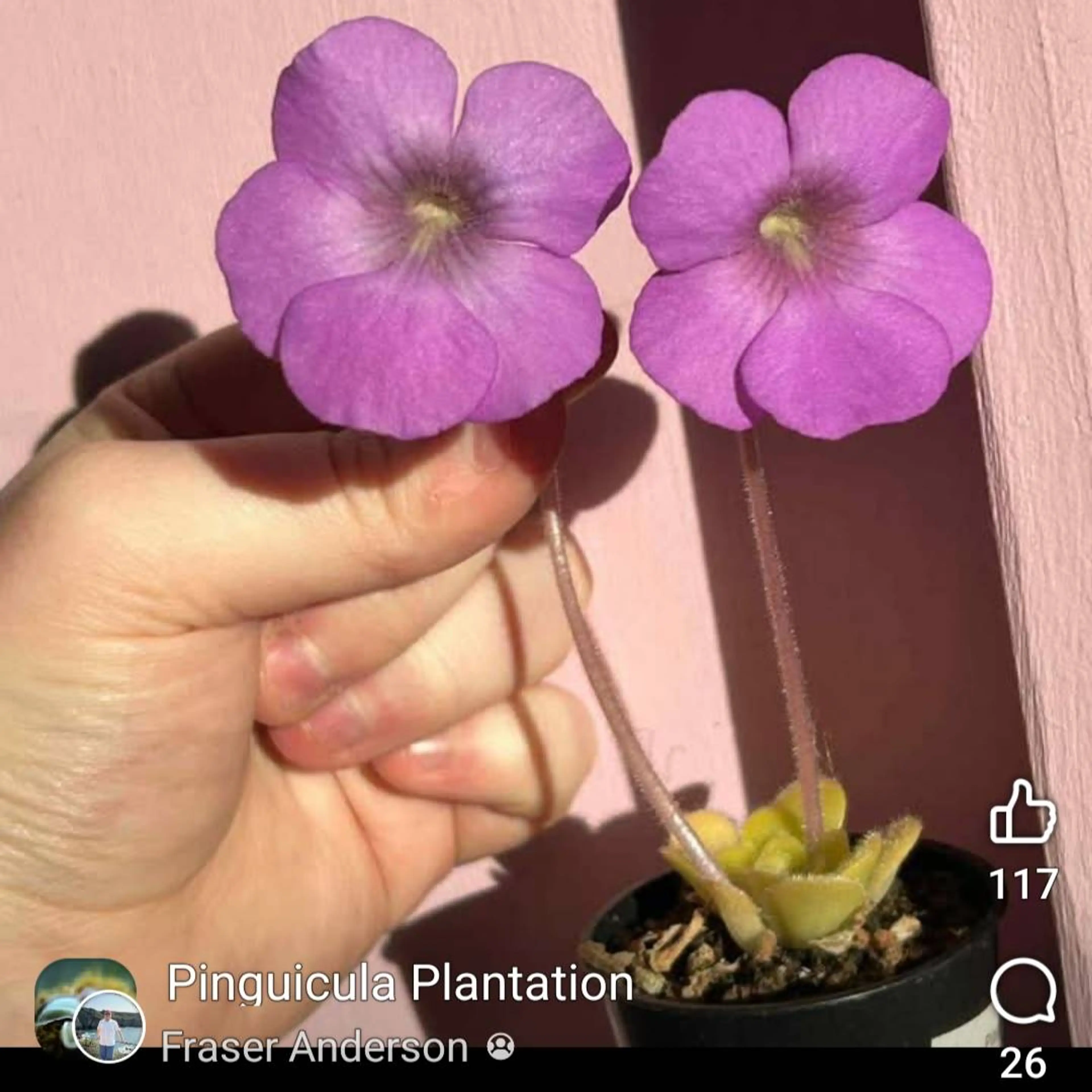 Image 4 of 4