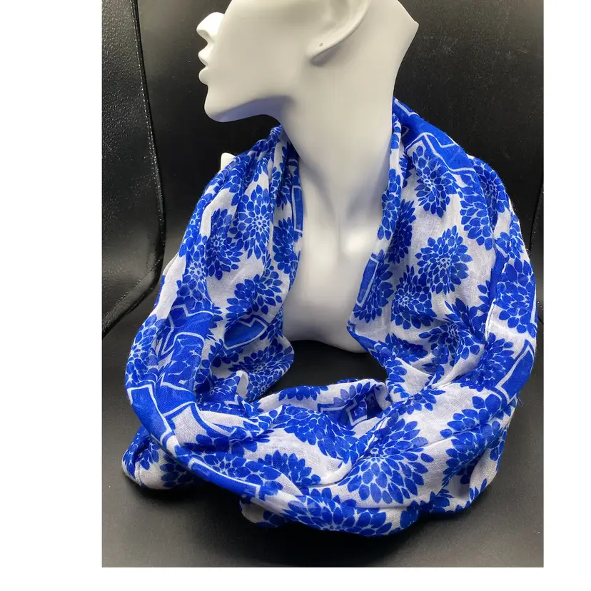 University Of Kentucky Infinity Scarf