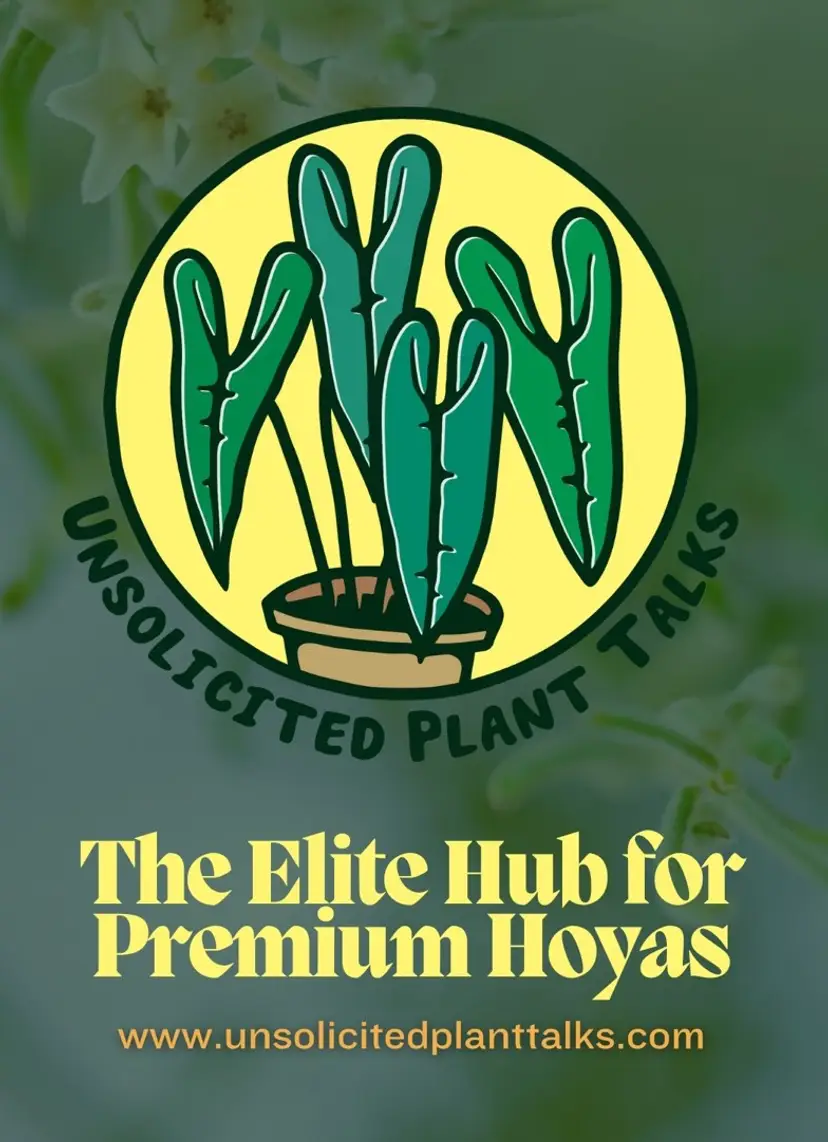 Livestream thumbnail