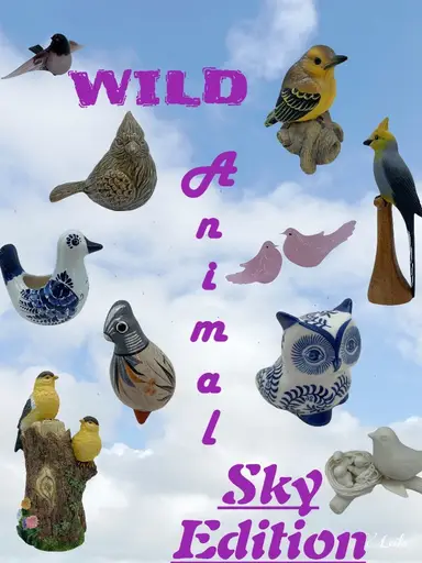 Anything That Flies!