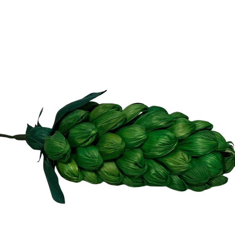 # 037  Handcrafted Green  Color Corn Husk🌻 Ginger 🫚 Flowers 6” Blossom Approximately 10” Long