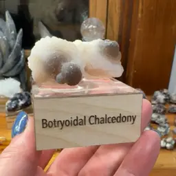 Botryoidal Chalcedony