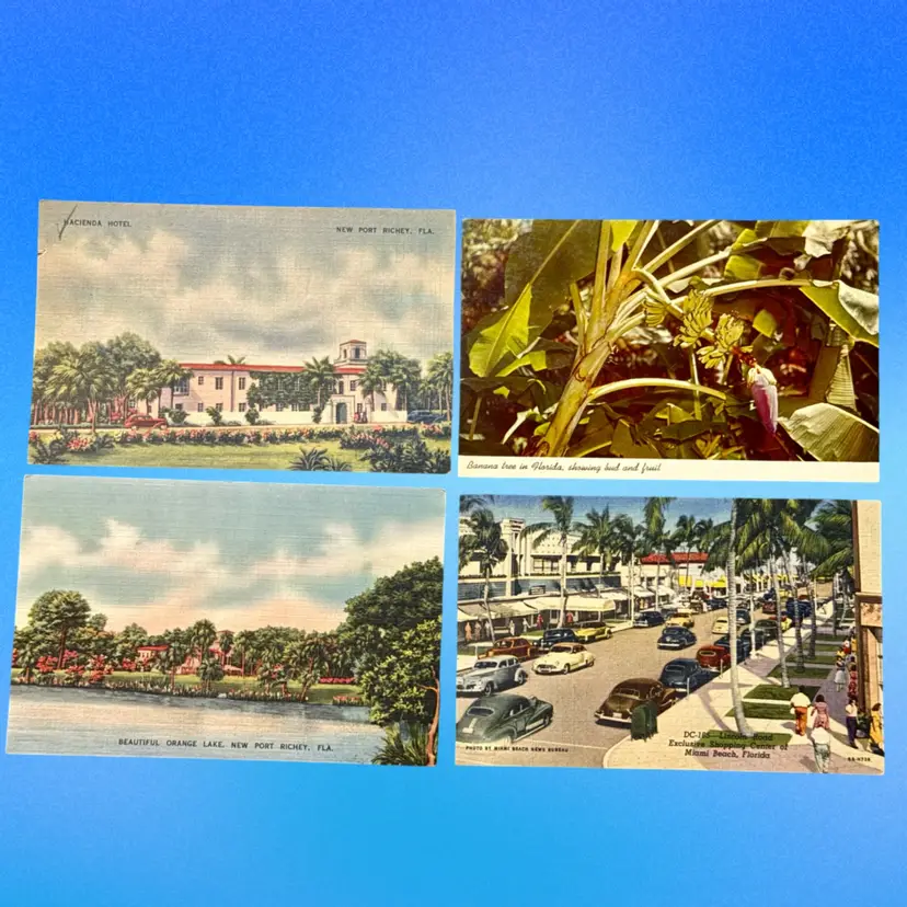 Lot/4 Vintage Florida Postcards, Unposted (1 Written)