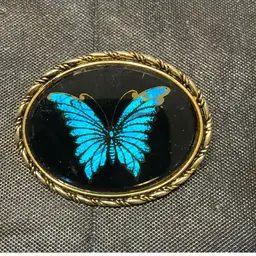 Blue Mountain Swallowtail Butterfly Wing Brooch