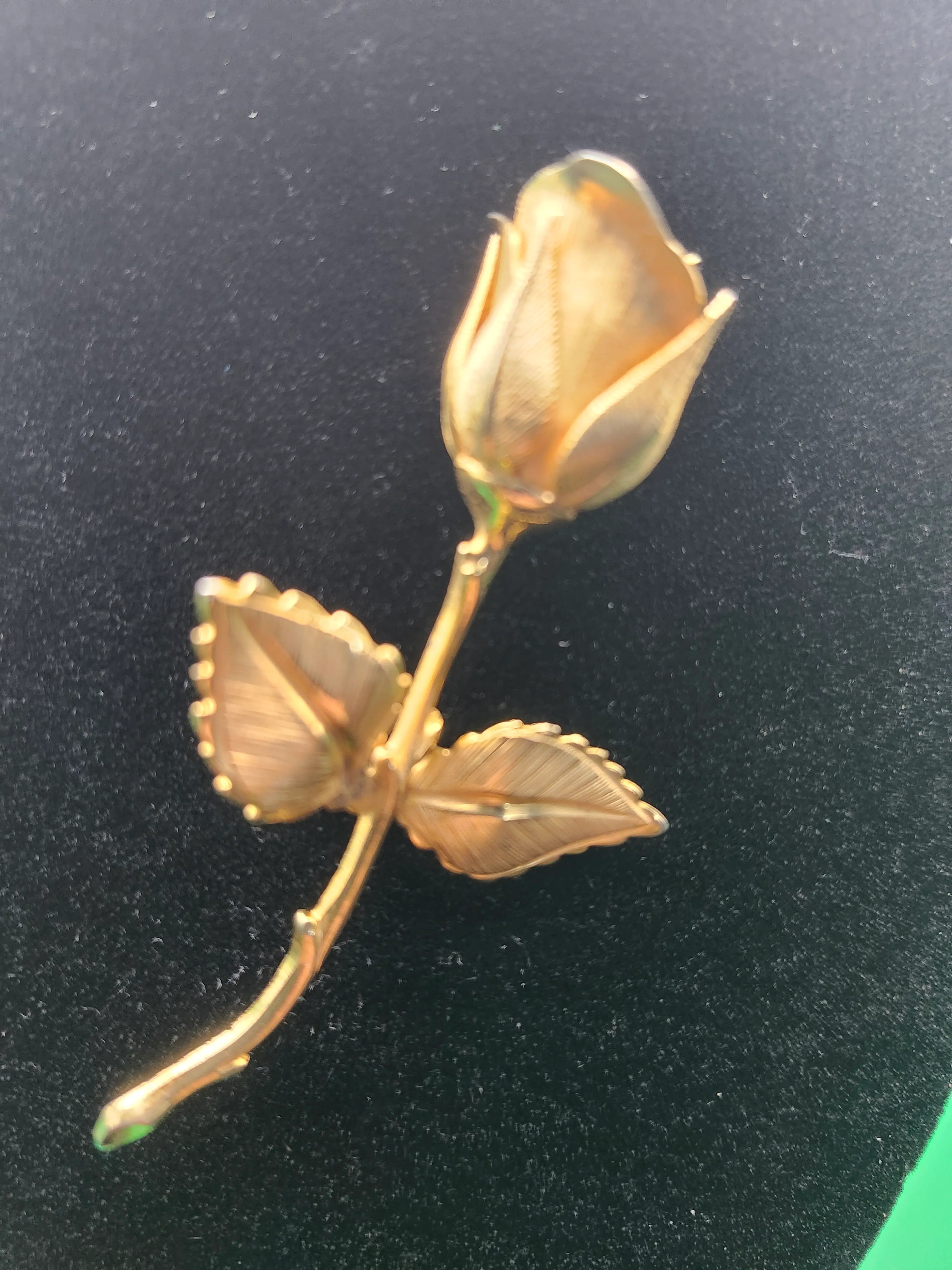 Image 4 of 18