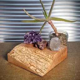 Solid Quilted Maple Wood Display Pedestal