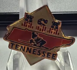 ASA Softball Tennessee Lapel Pin