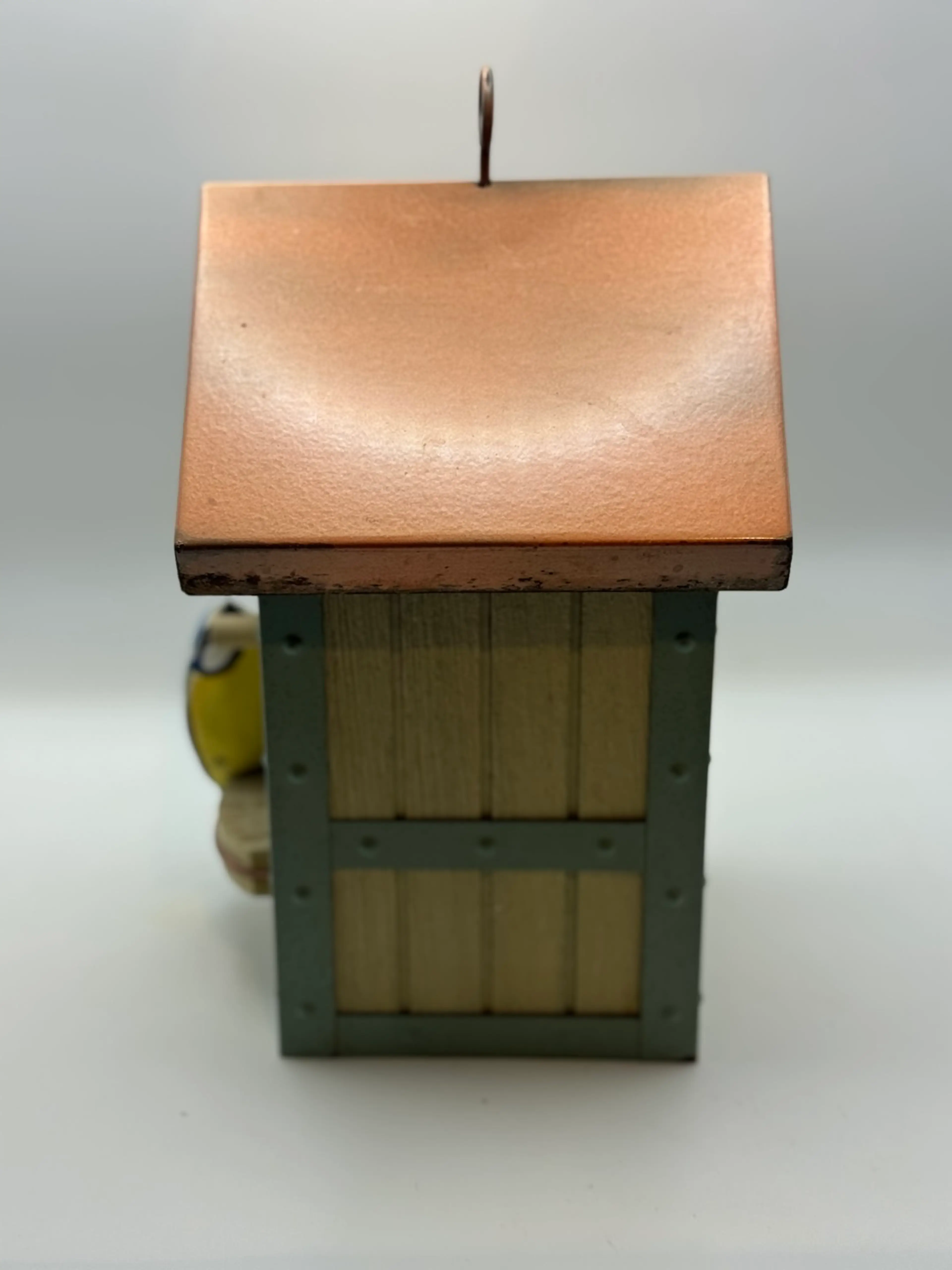 Image 3 of 12