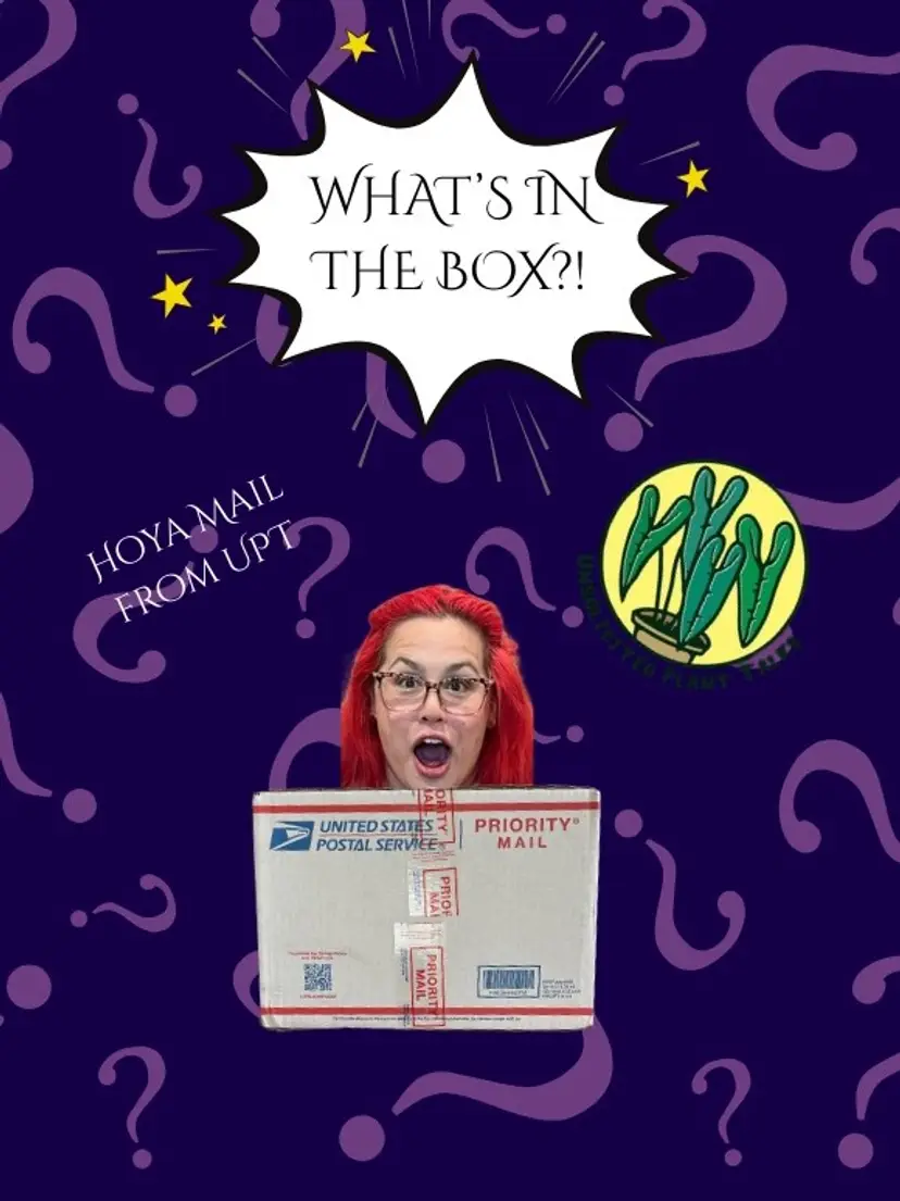 Livestream thumbnail