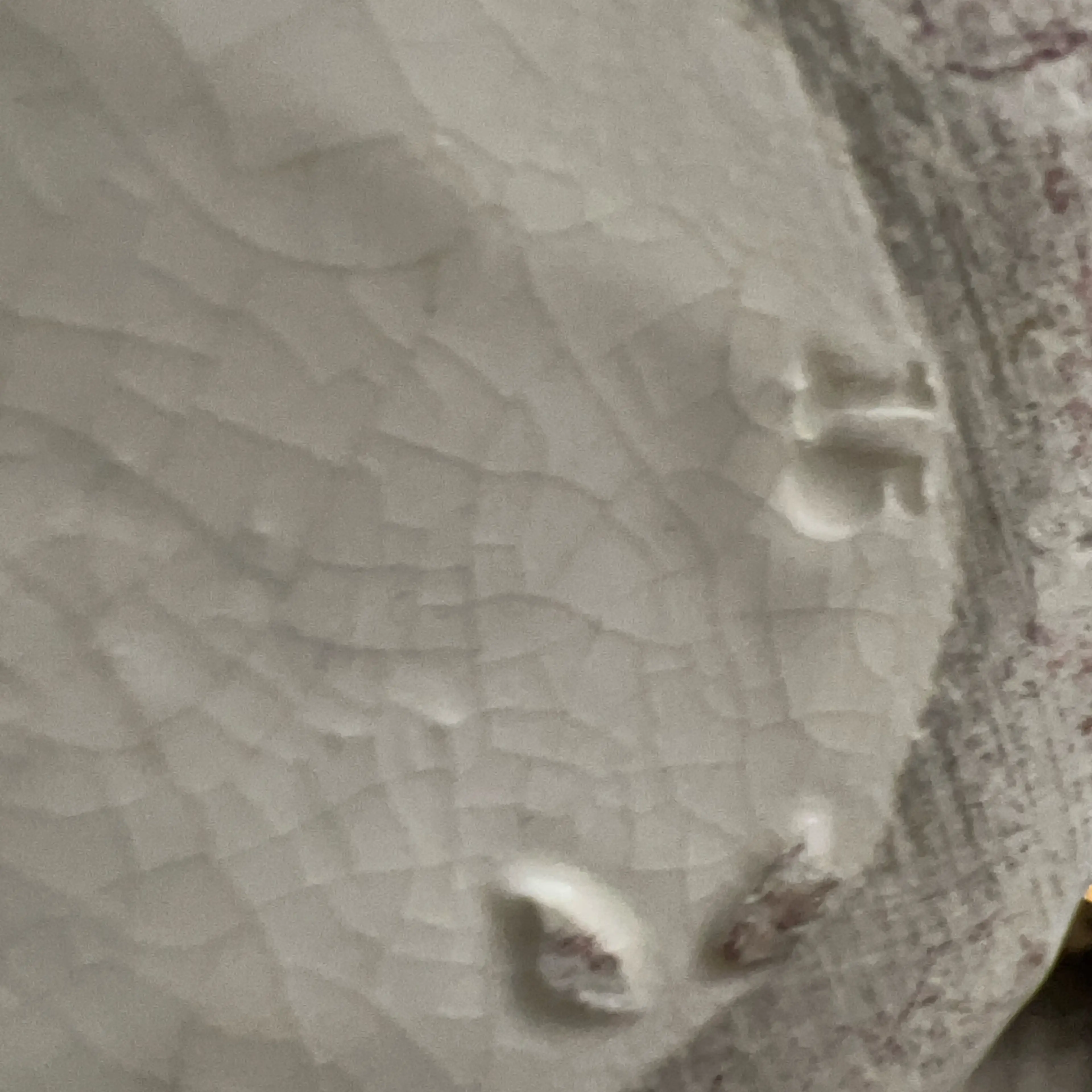 Image 5 of 5