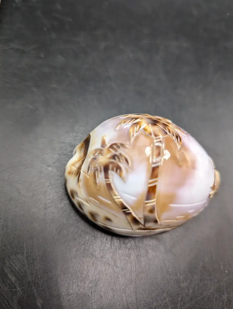 Vintage Lot of 2 Hand Carved Shells - Dolphin and Palm Trees and Sailboat