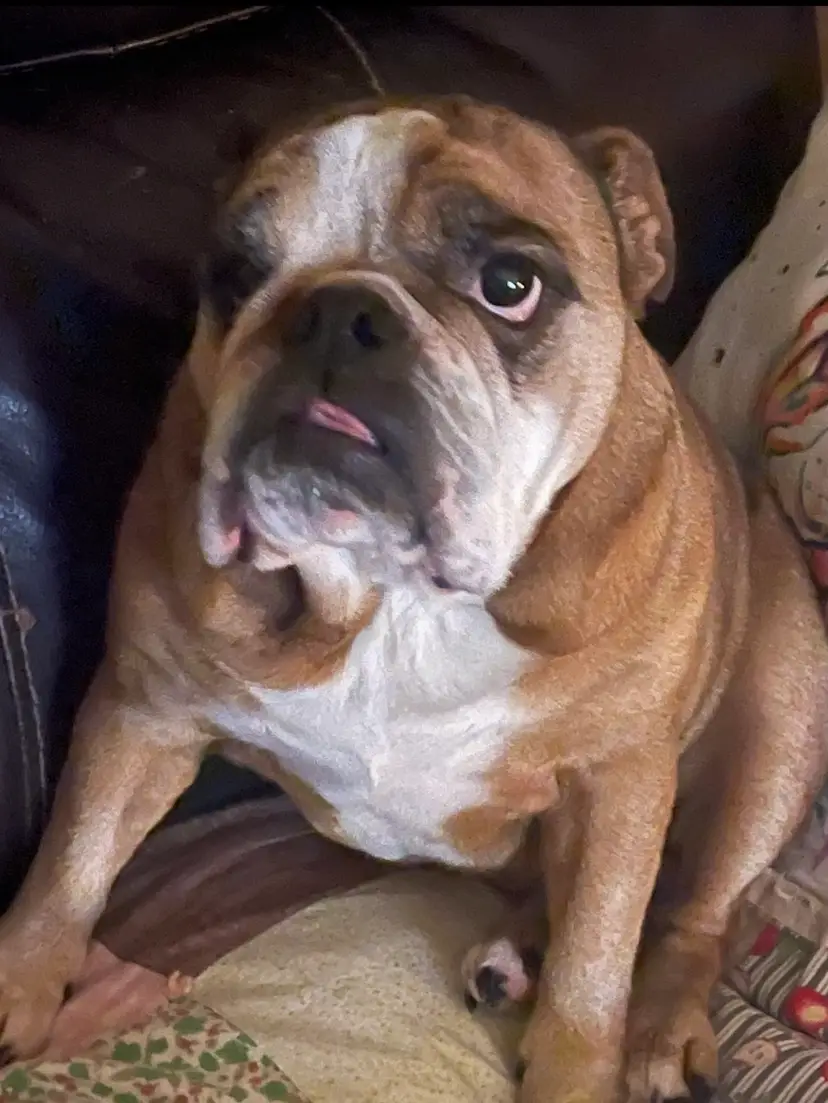 Livestream thumbnail