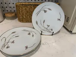 Noritake Plates