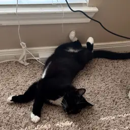 FOR CHERI  40oz White Tumbler With Black Handle