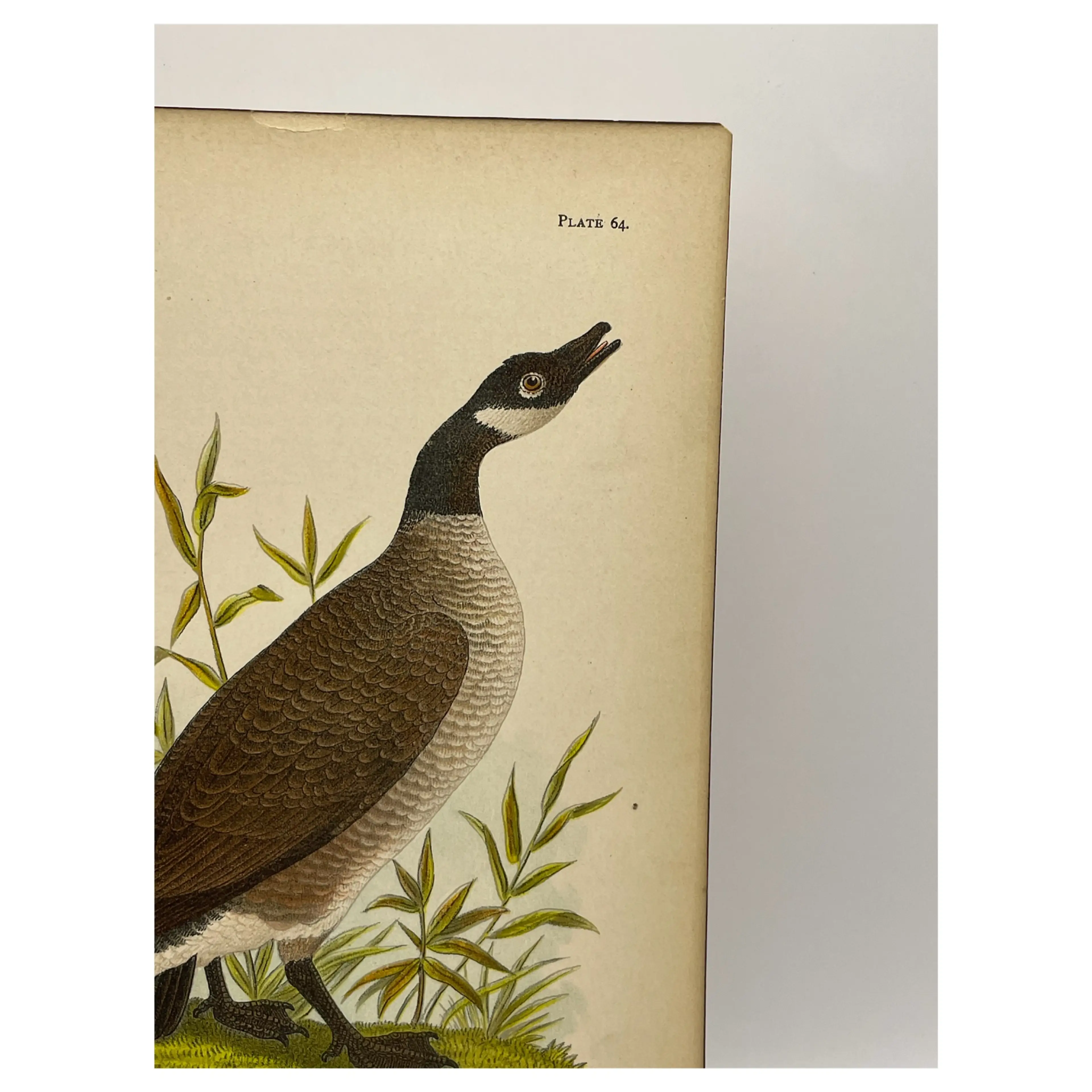 Image 3 of 8