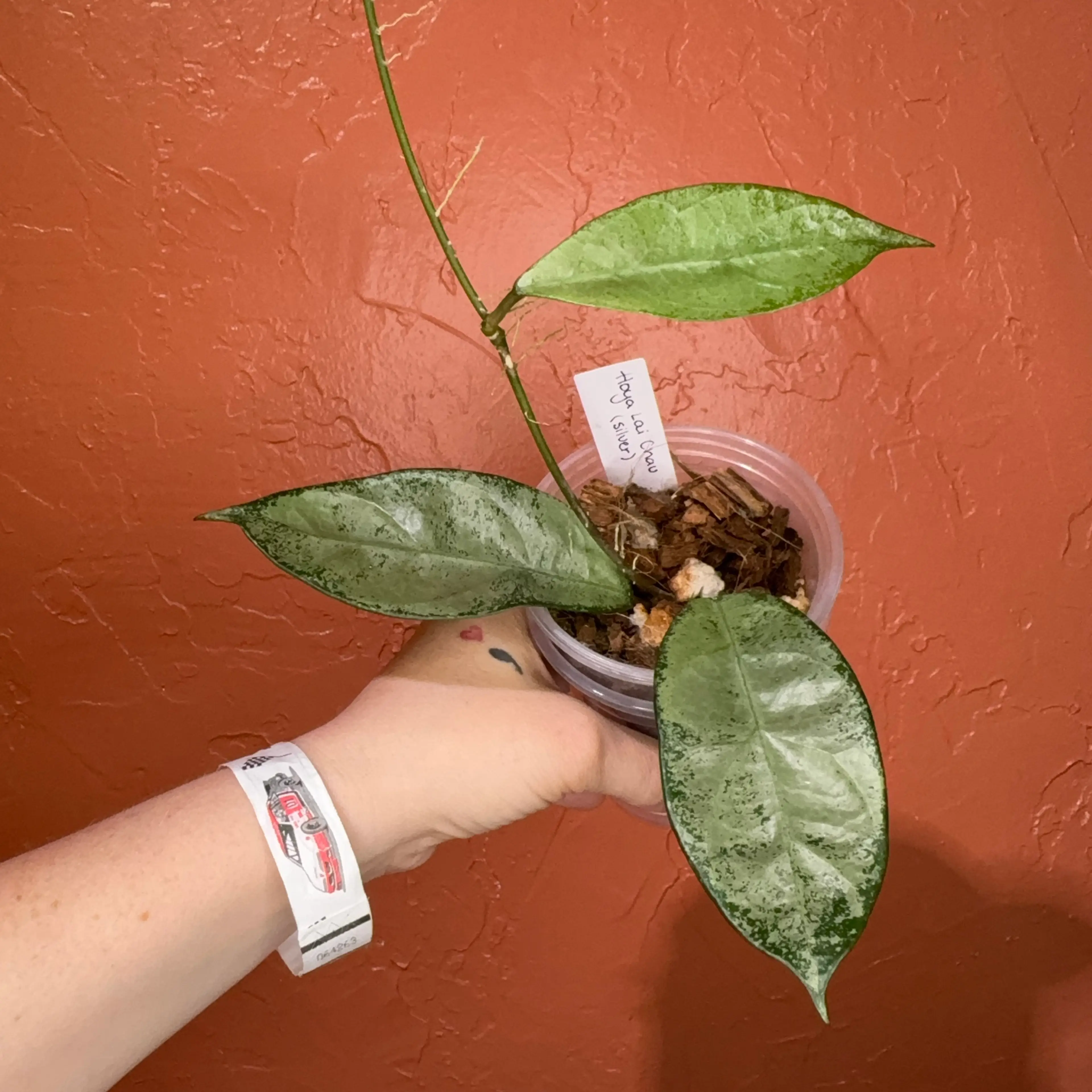 Image 3 of 4