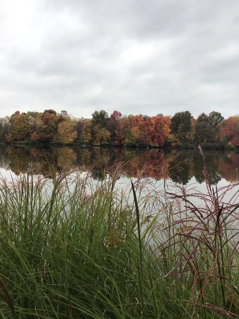 Livestream thumbnail