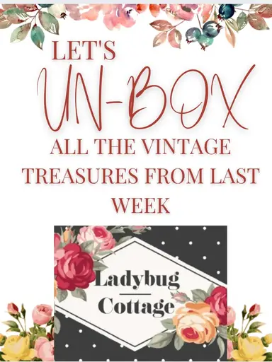 🐞 WEEKLY UNBOXING w/ LADYBUG COTTAGE 🐞