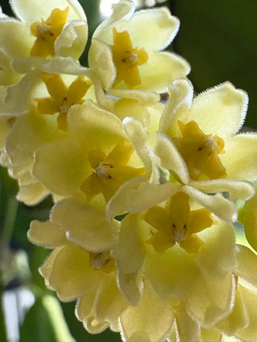 Livestream thumbnail