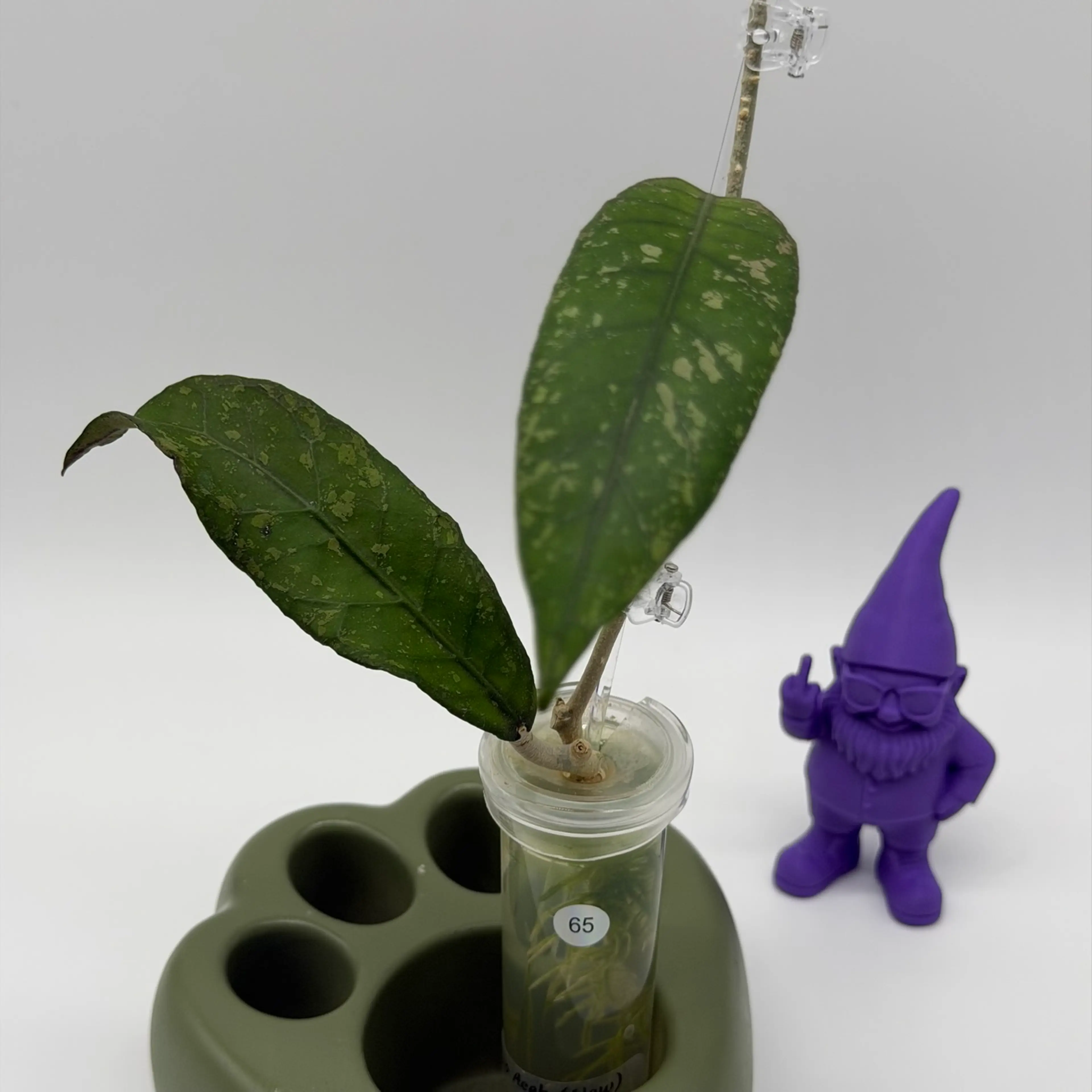 Image 3 of 3