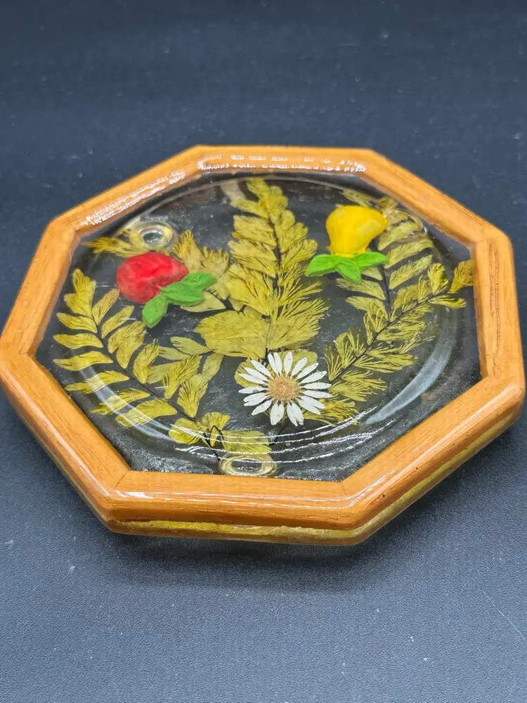 VTG 1970's Lucite/Resin Trivet Hot Pad Pressed Dried Flowers Frame Octagon
