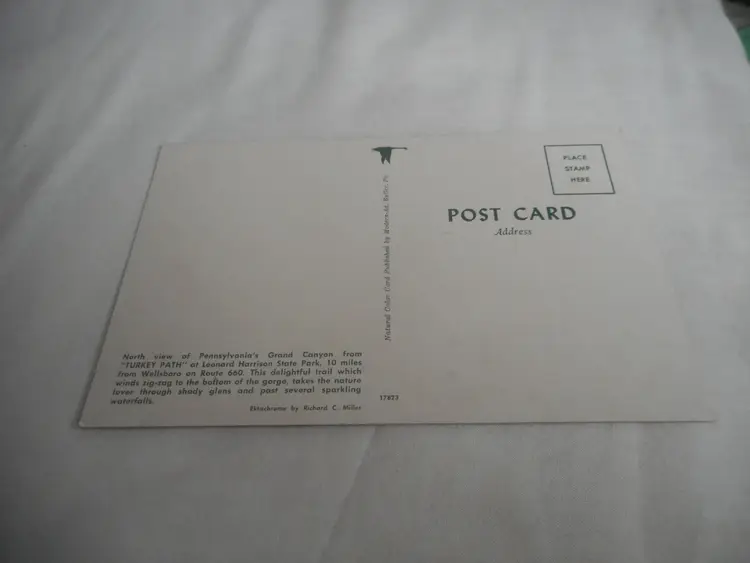 Vintage Postcard unposted Grand Canyon Pennsylvania fall nature 1950s