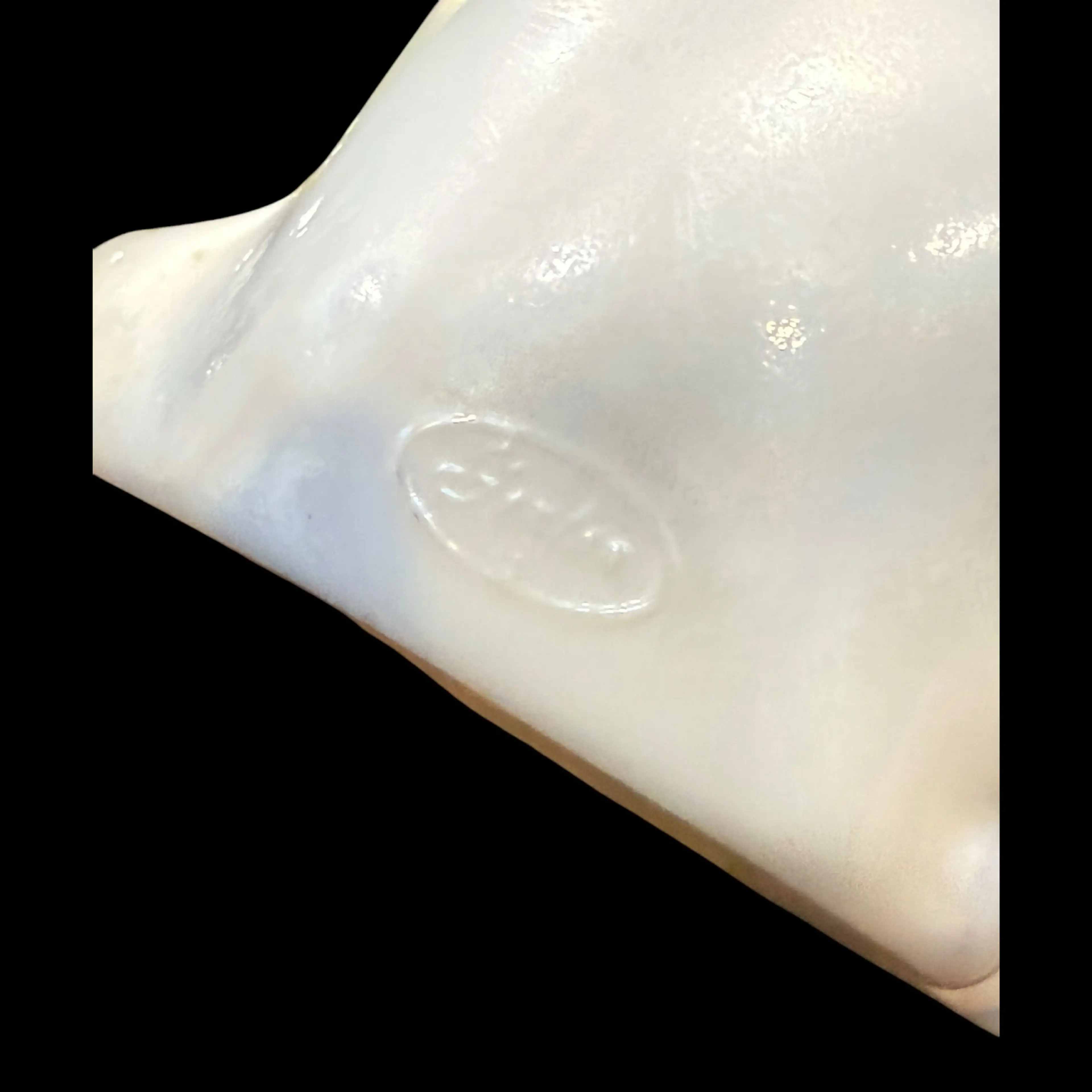 Image 5 of 6