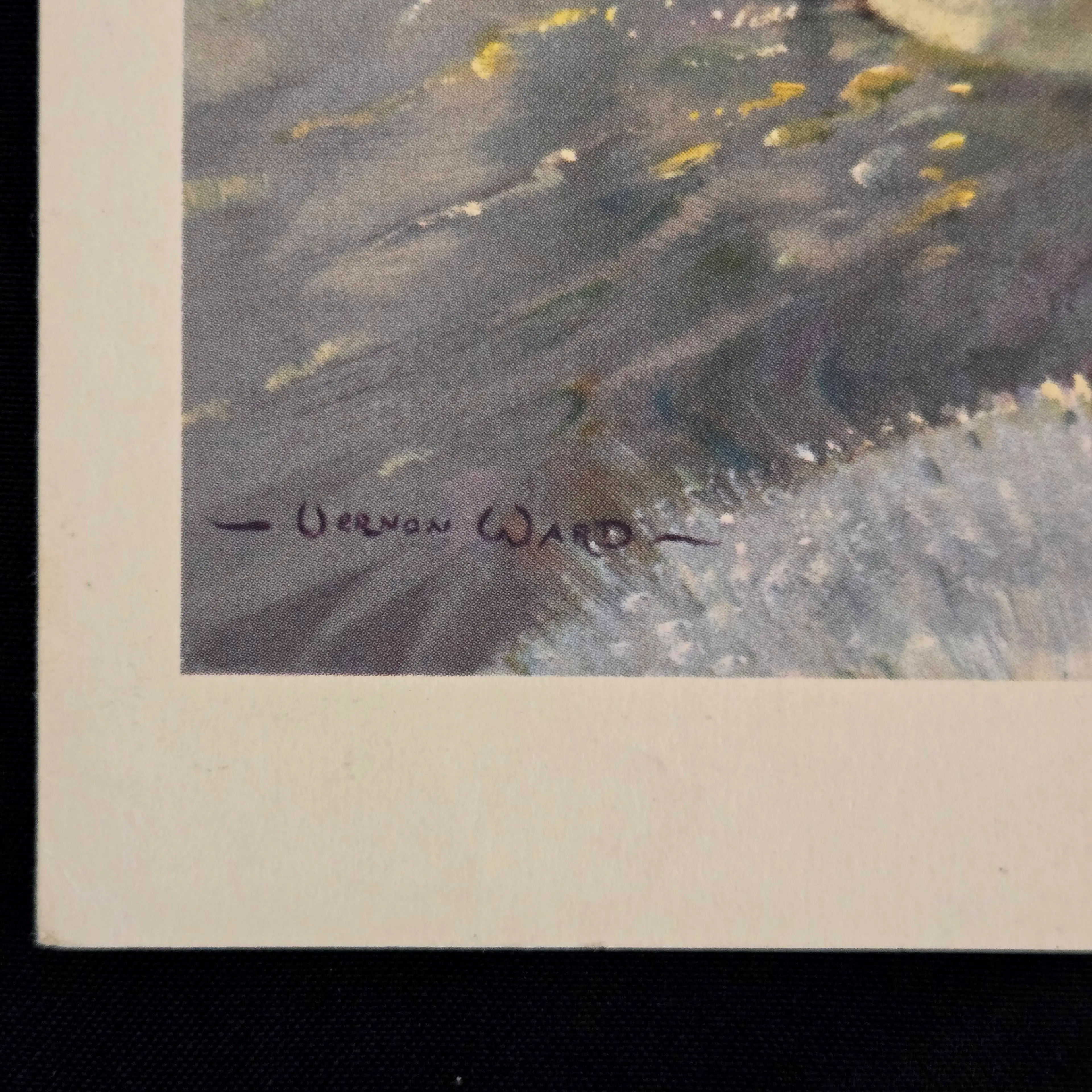 Image 5 of 14