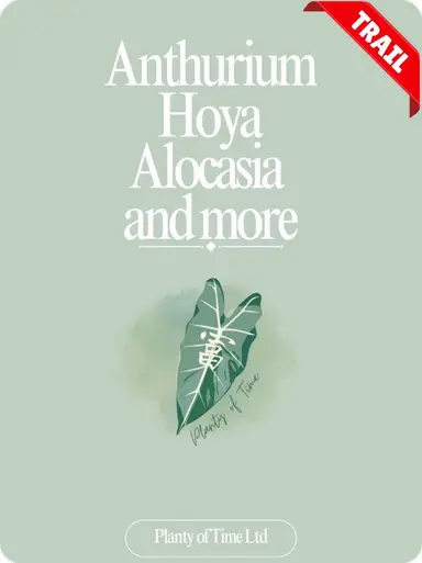 Trail Sale - Planty of Time