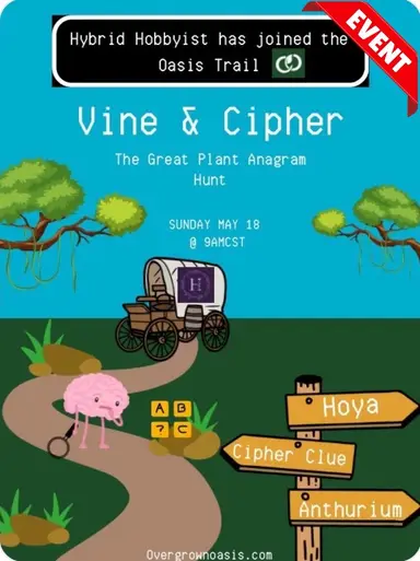 Vine & Cipher: First Stop On The Trail