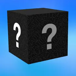 Medium Item Mystery Box