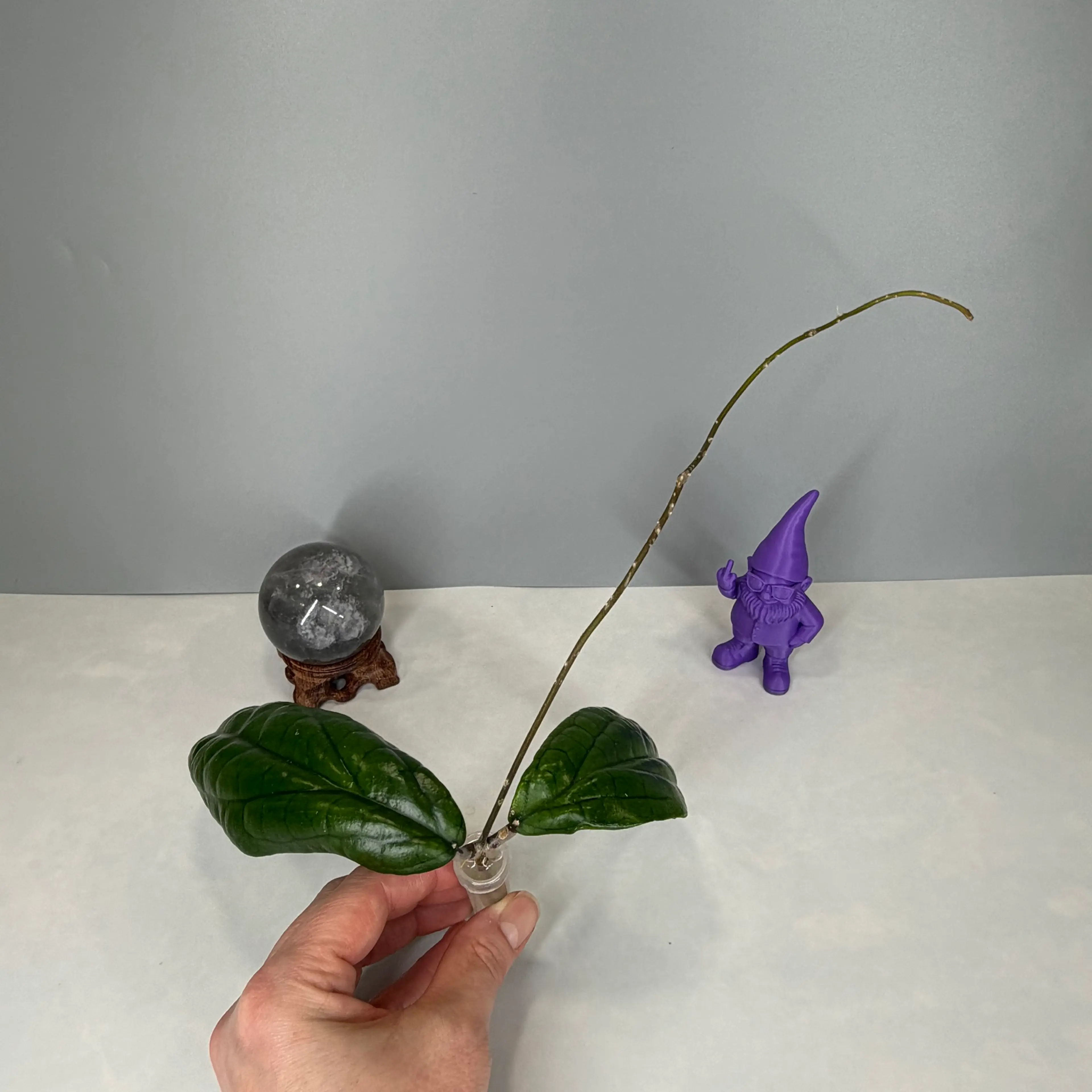 Image 4 of 5