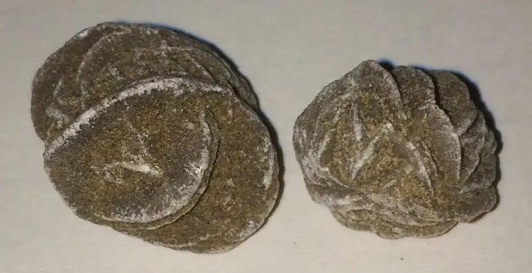 Desert Rose Set of 2