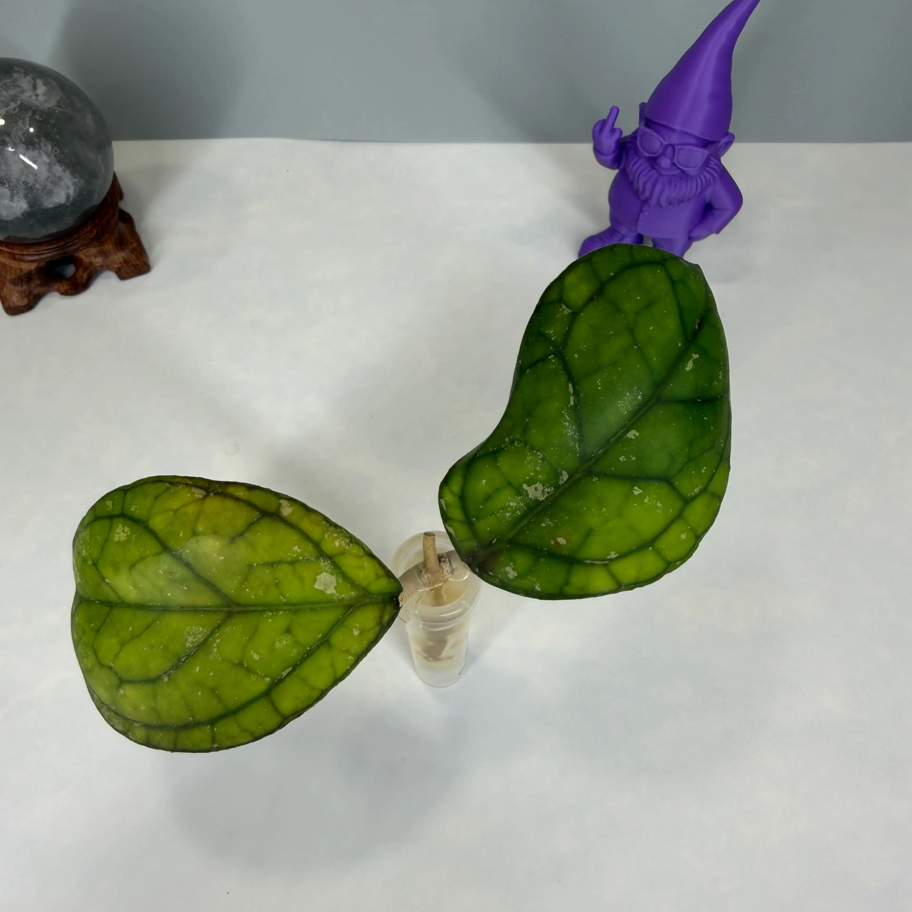 Image 2 of 3