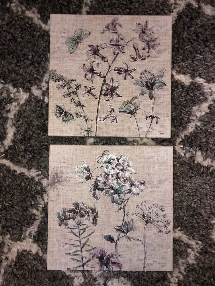 Floral And Butterfly Canvas Art 12” Square Set Of 2
