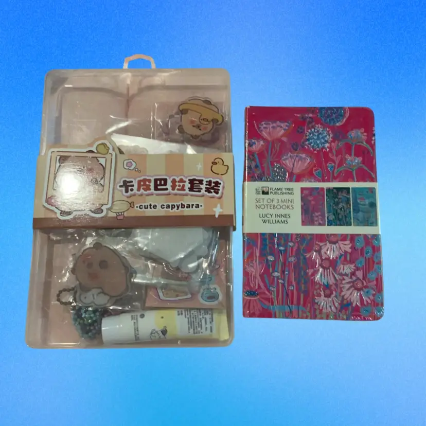 Cute Capybara Keychain Crafting Kit & Set Of 3 Mini Notebooks.