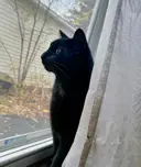 needleinahaystacktreasures