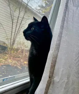 needleinahaystacktreasures