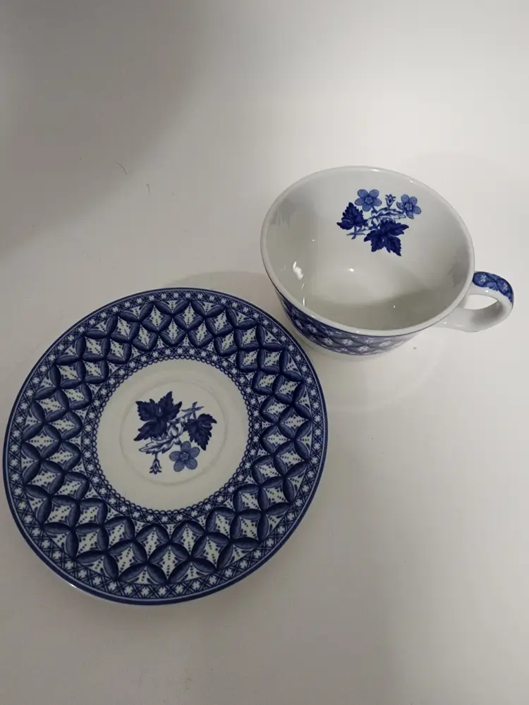 Spode Blue Room Collection Geranium Flat Cup and Saucer Set