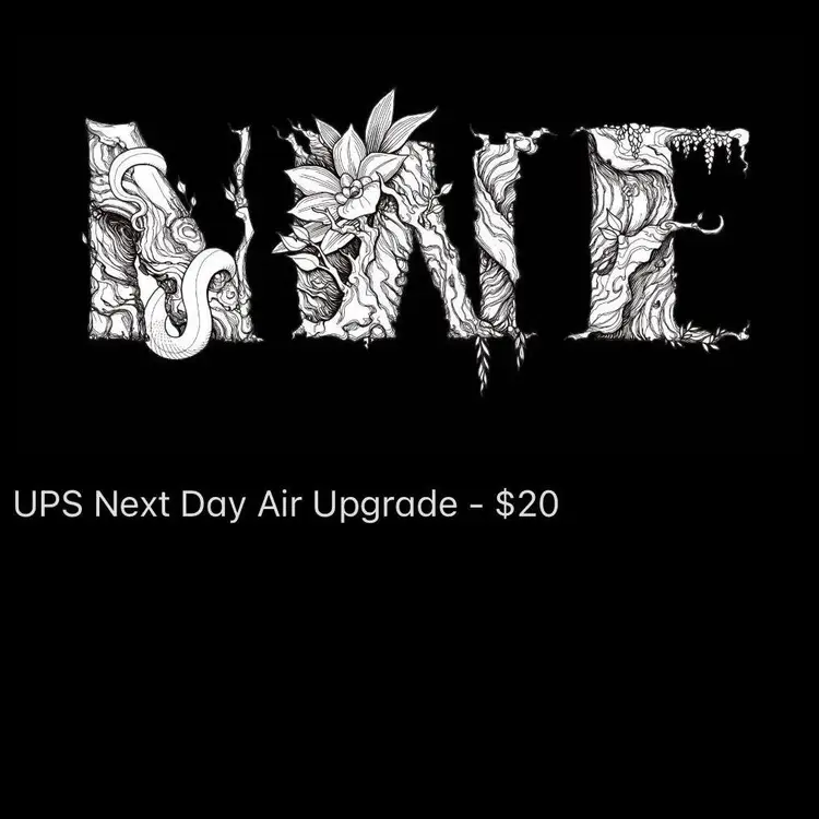 UPS Next Day Air Upgrade - $20
