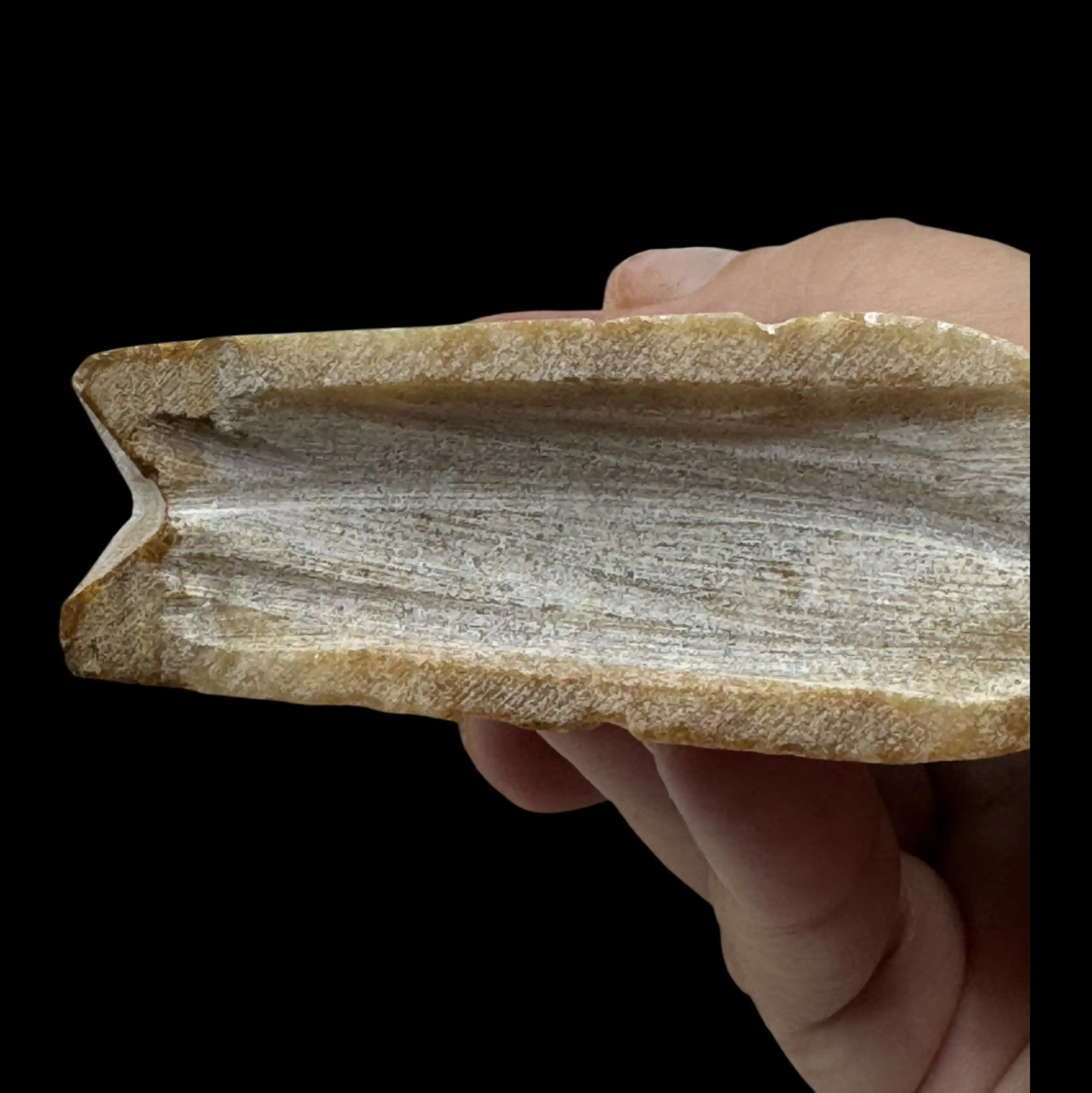 Image 2 of 4