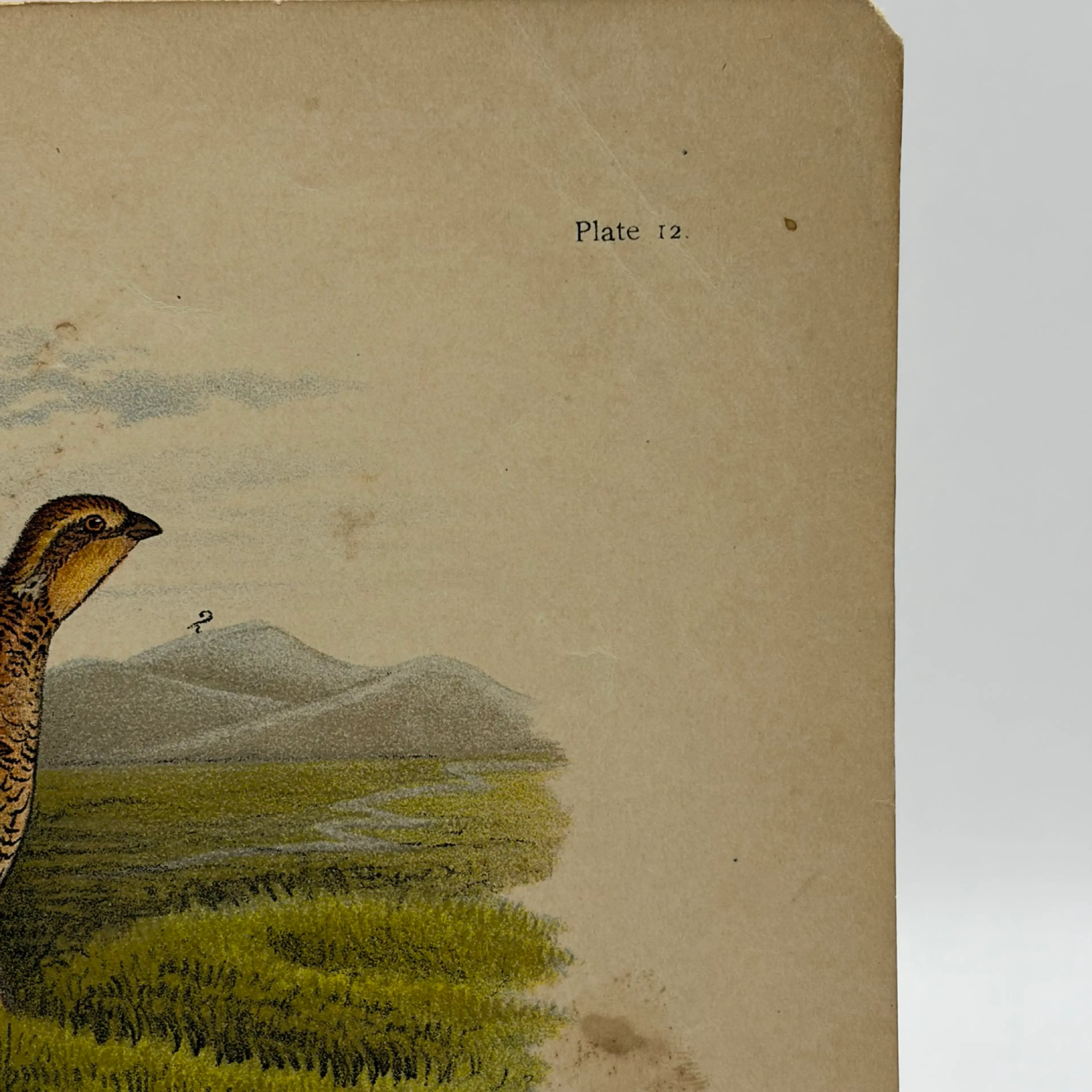 Image 3 of 9