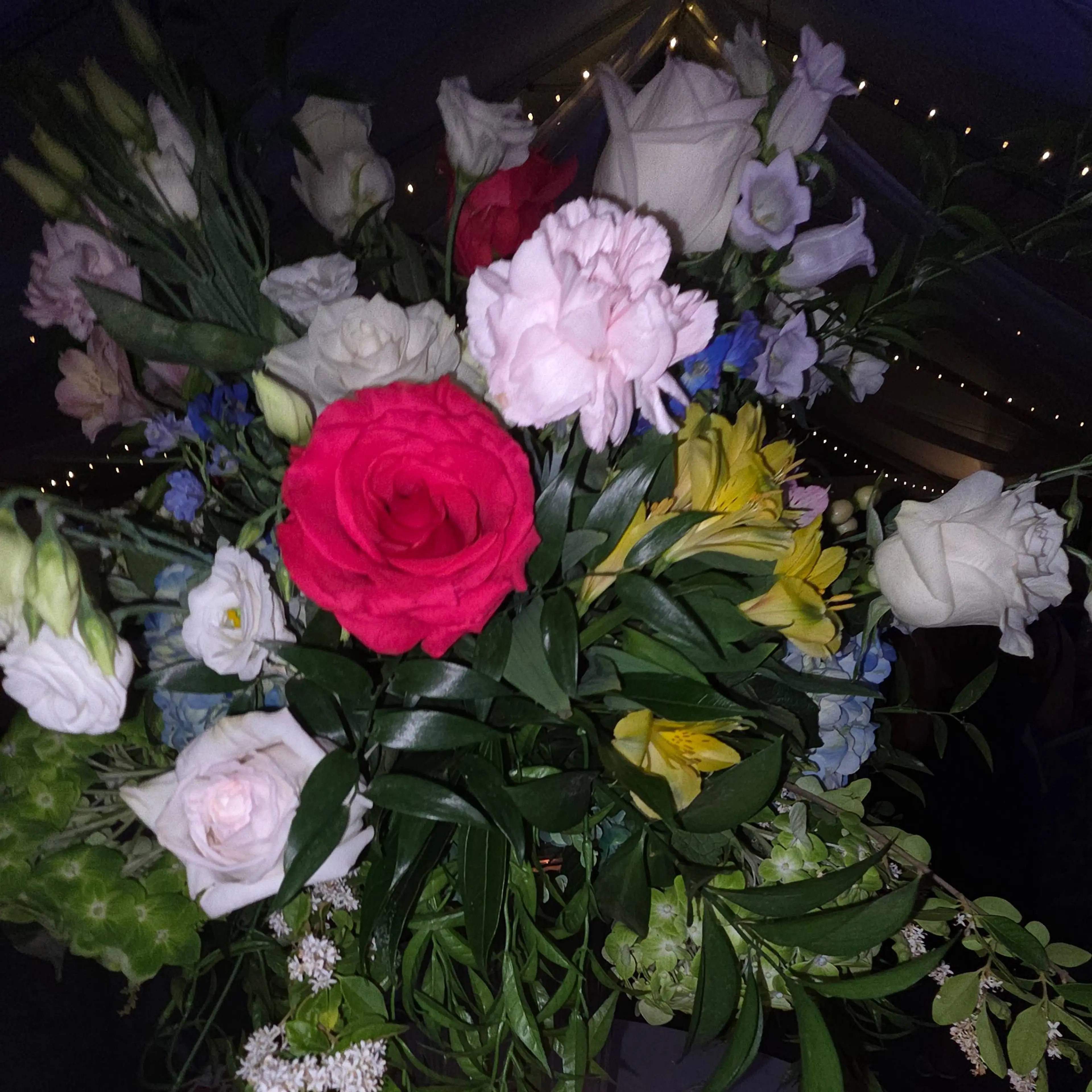 Image 2 of 3