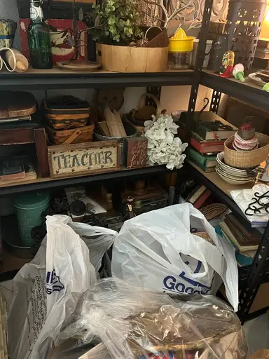 Coming Back Strong. HUGE goodwill Bins Haul!