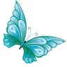 Turquoise Butterfly Designs